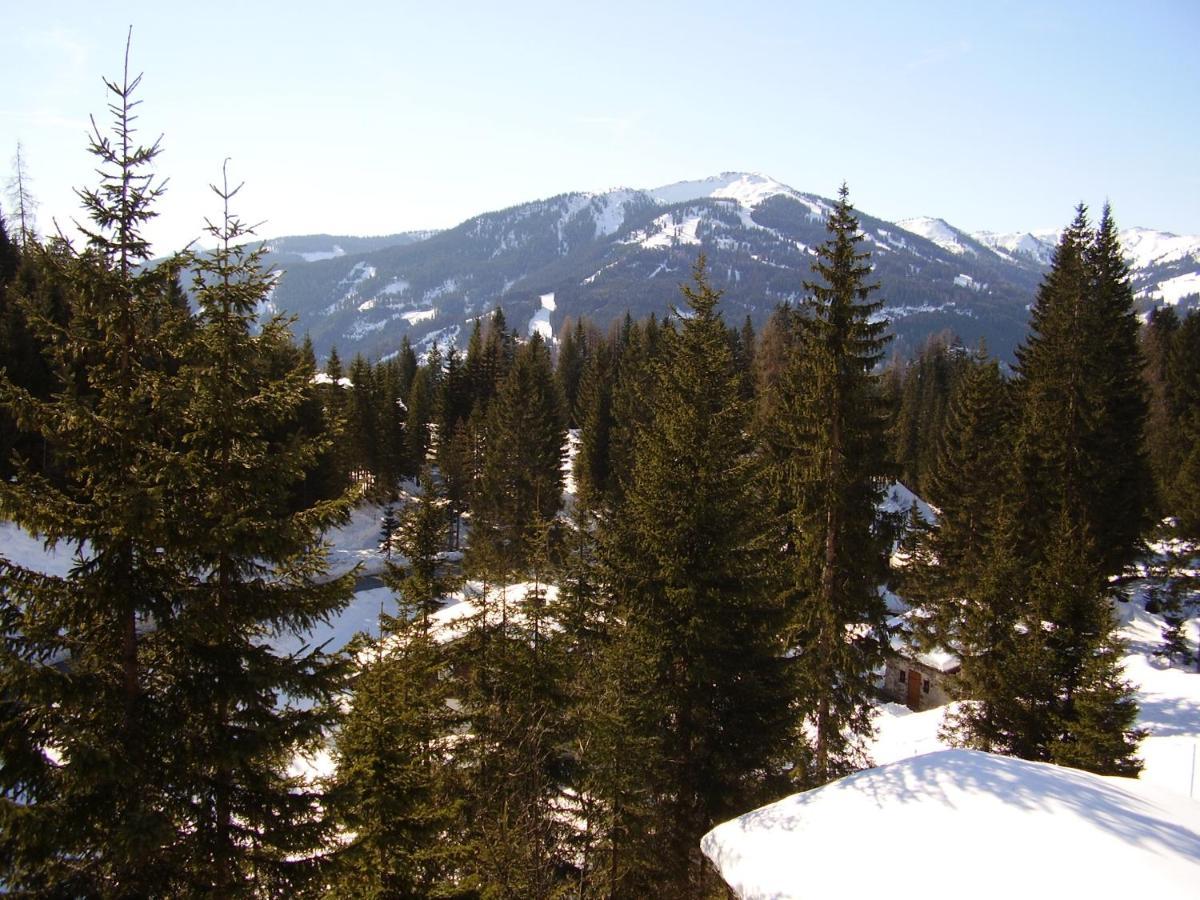 Appartementhaus Hochkoenig 1- Birgkar มึลบาค อัม โฮคเคอนิก ภายนอก รูปภาพ